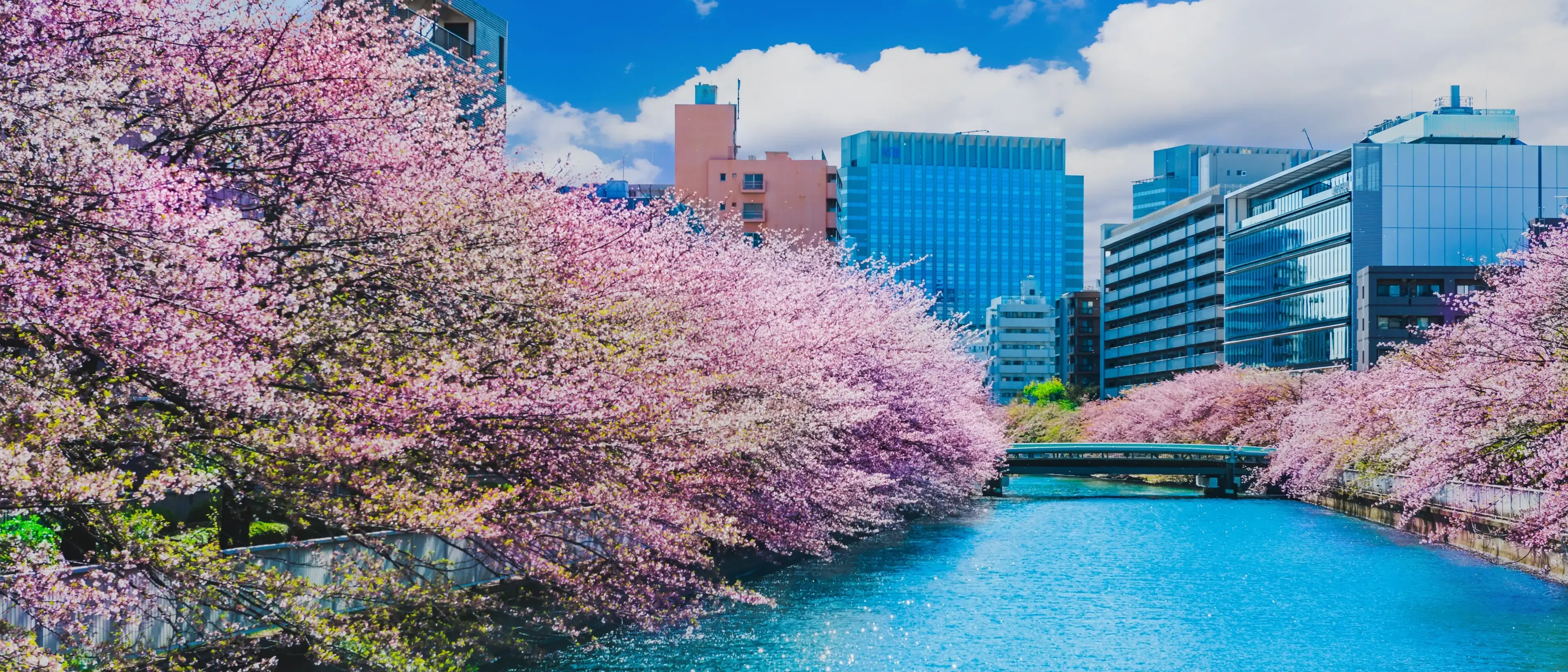 Aomori 青森市